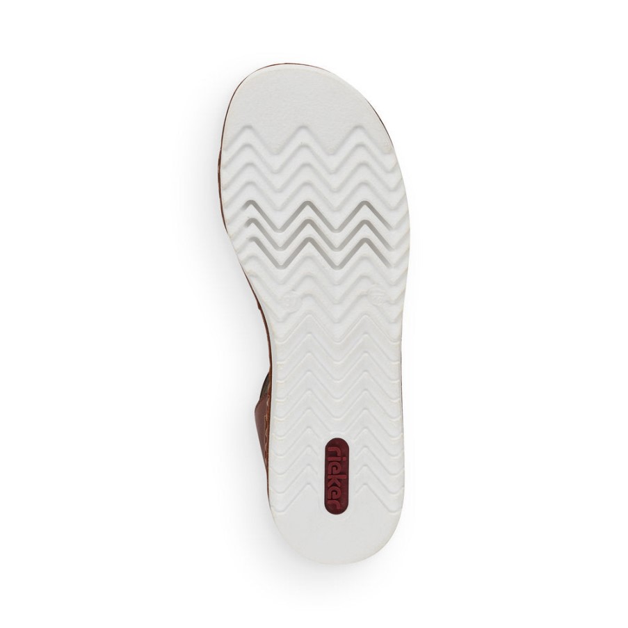 リーカーアッシュ 67952 クイーン