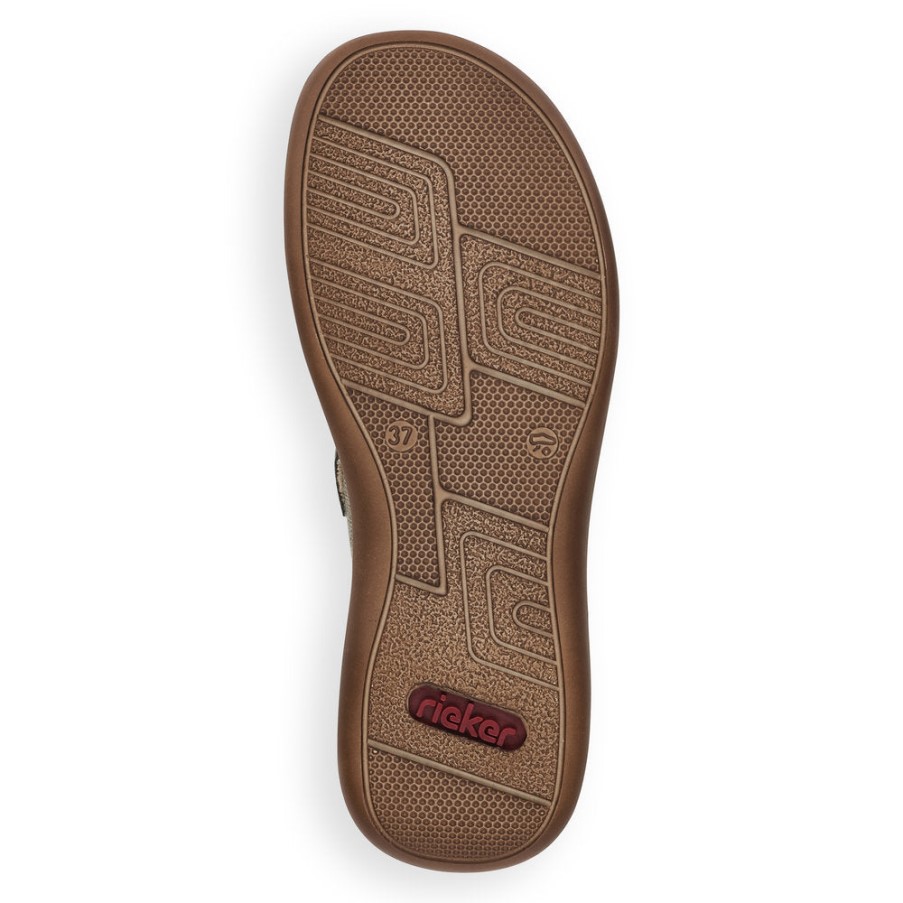 リーカー ペスト 46493 デイジー