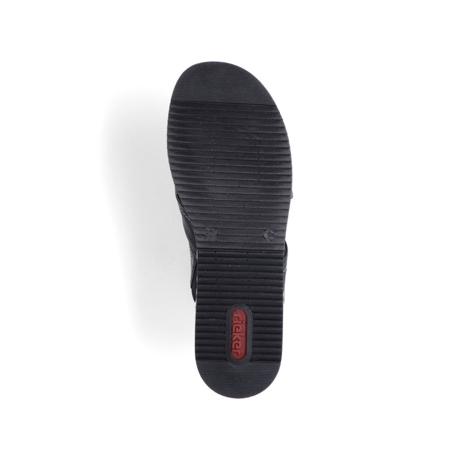 リーカー・ヴァイス V0250 レジーナ